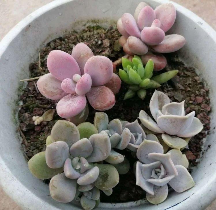 生活百科指什么?让日常更轻松快乐的实用指南 生活百科指什么?让日常更轻松快乐的实用指南