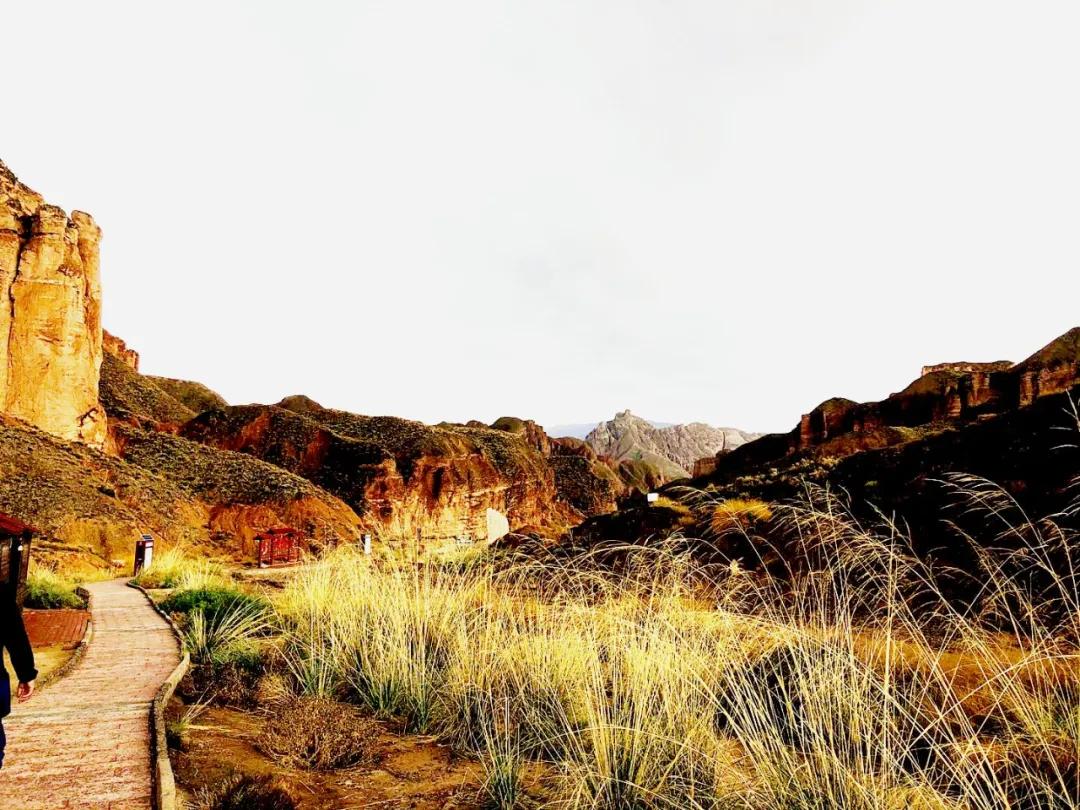 生活百科知识竞赛选择题全攻略:轻松掌握日常智慧,赢在趣味探险 生活百科知识竞赛选择题全攻略:轻松掌握日常智慧,赢在趣味探险