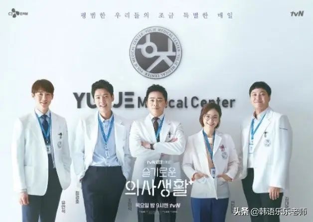 机智医生生活5对cp解析:五种爱情模式教你找到专属幸福 机智医生生活5对cp解析:五种爱情模式教你找到专属幸福