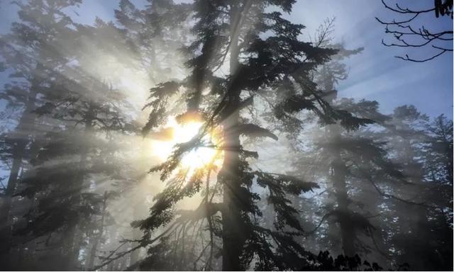 十万个为什么生活篇:揭秘日常现象背后的科学原理,让生活更轻松有趣 十万个为什么生活篇:揭秘日常现象背后的科学原理,让生活更轻松有趣