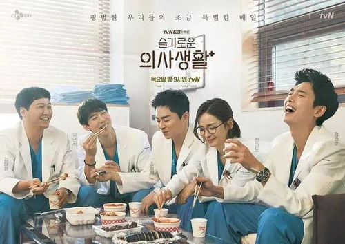 机智的医生生活第二季剧情解析：温暖治愈的医患故事与情感成长