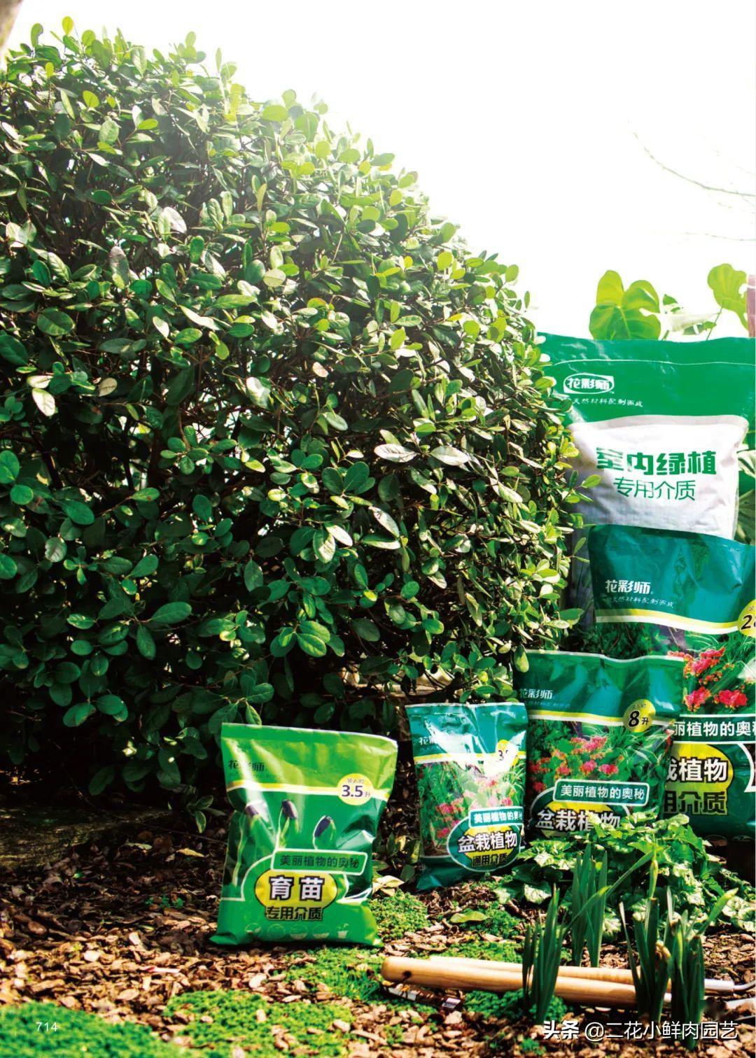 生活百科包含哪些?掌握这些实用技巧,让生活更轻松快乐! 生活百科包含哪些?掌握这些实用技巧,让生活更轻松快乐!